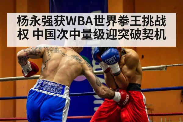 杨永强获WBA世界拳王挑战权 中国次中量级迎突破契机（KAIYUN）