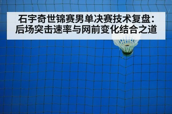 badminton net play
